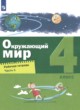 Окружающий мир 4 класс рабочая тетрадь Вахрушев Зорин (в 2-х частях)