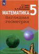 Математика Наглядная геометрия 5 класс Ходот